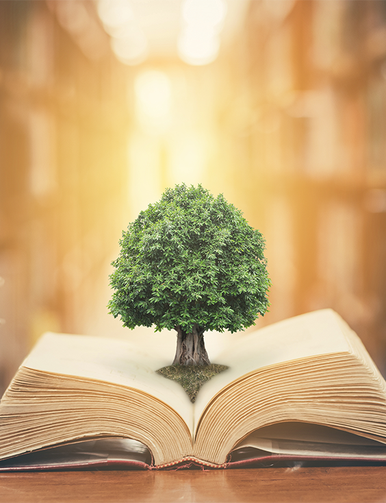 BAYMAK EĞİTİM VE GELİŞİM